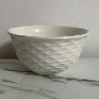Lot 6 Bols à soupe porcelaine